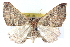  ( - BIOUG04671-A03)  @14 [ ] CreativeCommons - Attribution (2013) CBG Photography Group Centre for Biodiversity Genomics