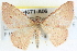  (Epicyme - BIOUG04671-A06)  @15 [ ] CreativeCommons - Attribution (2013) CBG Photography Group Centre for Biodiversity Genomics