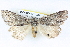  ( - BIOUG04671-C03)  @14 [ ] CreativeCommons - Attribution (2013) CBG Photography Group Centre for Biodiversity Genomics