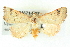  ( - BIOUG04671-E07)  @14 [ ] CreativeCommons - Attribution (2013) CBG Photography Group Centre for Biodiversity Genomics