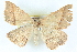  ( - BIOUG04671-F04)  @15 [ ] CreativeCommons - Attribution (2013) CBG Photography Group Centre for Biodiversity Genomics