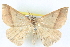  ( - BIOUG04671-F07)  @15 [ ] CreativeCommons - Attribution (2013) CBG Photography Group Centre for Biodiversity Genomics