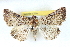  ( - BIOUG04671-H09)  @15 [ ] CreativeCommons - Attribution (2013) CBG Photography Group Centre for Biodiversity Genomics