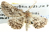  ( - BIOUG04000-A07)  @12 [ ] CreativeCommons - Attribution (2012) CBG Photography Group Centre for Biodiversity Genomics