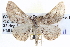  ( - BIOUG04000-B01)  @13 [ ] CreativeCommons - Attribution (2012) CBG Photography Group Centre for Biodiversity Genomics
