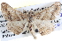  ( - BIOUG04000-B03)  @13 [ ] CreativeCommons - Attribution (2012) CBG Photography Group Centre for Biodiversity Genomics