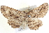 ( - BIOUG04000-C01)  @13 [ ] CreativeCommons - Attribution (2012) CBG Photography Group Centre for Biodiversity Genomics