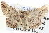  ( - BIOUG04000-C04)  @13 [ ] CreativeCommons - Attribution (2012) CBG Photography Group Centre for Biodiversity Genomics