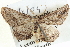  ( - BIOUG04000-C10)  @13 [ ] CreativeCommons - Attribution (2012) CBG Photography Group Centre for Biodiversity Genomics