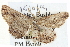  ( - BIOUG04000-D03)  @13 [ ] CreativeCommons - Attribution (2012) CBG Photography Group Centre for Biodiversity Genomics