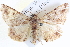  ( - BIOUG04000-E01)  @14 [ ] CreativeCommons - Attribution (2012) CBG Photography Group Centre for Biodiversity Genomics