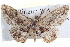  ( - BIOUG04000-E02)  @14 [ ] CreativeCommons - Attribution (2012) CBG Photography Group Centre for Biodiversity Genomics