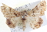  ( - BIOUG04000-E05)  @13 [ ] CreativeCommons - Attribution (2012) CBG Photography Group Centre for Biodiversity Genomics