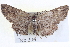 ( - BIOUG04000-E06)  @13 [ ] CreativeCommons - Attribution (2012) CBG Photography Group Centre for Biodiversity Genomics