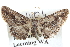  ( - BIOUG04000-E09)  @13 [ ] CreativeCommons - Attribution (2012) CBG Photography Group Centre for Biodiversity Genomics