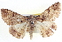  ( - BIOUG04000-F04)  @13 [ ] CreativeCommons - Attribution (2012) CBG Photography Group Centre for Biodiversity Genomics
