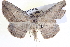  ( - BIOUG04000-G01)  @13 [ ] CreativeCommons - Attribution (2012) CBG Photography Group Centre for Biodiversity Genomics