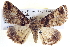  ( - BIOUG04000-G02)  @14 [ ] CreativeCommons - Attribution (2012) CBG Photography Group Centre for Biodiversity Genomics