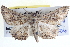  ( - BIOUG04001-B12)  @13 [ ] CreativeCommons - Attribution (2012) CBG Photography Group Centre for Biodiversity Genomics