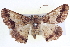  ( - BIOUG04001-C05)  @13 [ ] CreativeCommons - Attribution (2012) CBG Photography Group Centre for Biodiversity Genomics