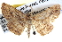  ( - BIOUG04001-H01)  @13 [ ] CreativeCommons - Attribution (2012) CBG Photography Group Centre for Biodiversity Genomics