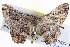  ( - BIOUG04001-H09)  @13 [ ] CreativeCommons - Attribution (2012) CBG Photography Group Centre for Biodiversity Genomics
