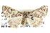  ( - BIOUG04002-A09)  @13 [ ] CreativeCommons - Attribution (2012) CBG Photography Group Centre for Biodiversity Genomics