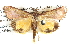  ( - BIOUG04002-E06)  @14 [ ] CreativeCommons - Attribution (2012) CBG Photography Group Centre for Biodiversity Genomics