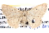  ( - BIOUG04002-H06)  @16 [ ] CreativeCommons - Attribution (2012) CBG Photography Group Centre for Biodiversity Genomics