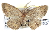  ( - BIOUG04002-H07)  @13 [ ] CreativeCommons - Attribution (2012) CBG Photography Group Centre for Biodiversity Genomics
