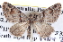  ( - BIOUG04003-A07)  @14 [ ] CreativeCommons - Attribution (2012) CBG Photography Group Centre for Biodiversity Genomics