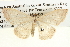  ( - BIOUG04003-B02)  @13 [ ] CreativeCommons - Attribution (2012) CBG Photography Group Centre for Biodiversity Genomics