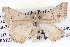  ( - BIOUG04003-E08)  @14 [ ] CreativeCommons - Attribution (2012) CBG Photography Group Centre for Biodiversity Genomics