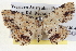  ( - BIOUG04003-G06)  @14 [ ] CreativeCommons - Attribution (2012) CBG Photography Group Centre for Biodiversity Genomics
