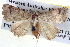  ( - BIOUG04003-G08)  @14 [ ] CreativeCommons - Attribution (2012) CBG Photography Group Centre for Biodiversity Genomics