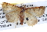  ( - BIOUG04003-G12)  @14 [ ] CreativeCommons - Attribution (2012) CBG Photography Group Centre for Biodiversity Genomics