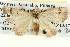  ( - BIOUG04003-H07)  @13 [ ] CreativeCommons - Attribution (2012) CBG Photography Group Centre for Biodiversity Genomics