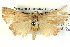  ( - BIOUG04003-H10)  @13 [ ] CreativeCommons - Attribution (2012) CBG Photography Group Centre for Biodiversity Genomics