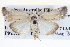  ( - BIOUG04004-A02)  @14 [ ] CreativeCommons - Attribution (2012) CBG Photography Group Centre for Biodiversity Genomics