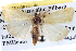  ( - BIOUG04004-A06)  @14 [ ] CreativeCommons - Attribution (2012) CBG Photography Group Centre for Biodiversity Genomics