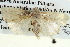  ( - BIOUG04004-A08)  @13 [ ] CreativeCommons - Attribution (2012) CBG Photography Group Centre for Biodiversity Genomics