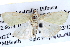  ( - BIOUG04004-A09)  @12 [ ] CreativeCommons - Attribution (2012) CBG Photography Group Centre for Biodiversity Genomics