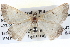  ( - BIOUG04004-C01)  @13 [ ] CreativeCommons - Attribution (2012) CBG Photography Group Centre for Biodiversity Genomics