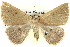  ( - BIOUG04004-C12)  @14 [ ] CreativeCommons - Attribution (2012) CBG Photography Group Centre for Biodiversity Genomics