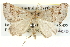  ( - BIOUG04004-D02)  @14 [ ] CreativeCommons - Attribution (2012) CBG Photography Group Centre for Biodiversity Genomics