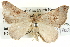  ( - BIOUG04004-D04)  @14 [ ] CreativeCommons - Attribution (2012) CBG Photography Group Centre for Biodiversity Genomics