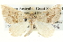  ( - BIOUG04004-D09)  @15 [ ] CreativeCommons - Attribution (2012) CBG Photography Group Centre for Biodiversity Genomics
