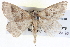  ( - BIOUG04004-E01)  @13 [ ] CreativeCommons - Attribution (2012) CBG Photography Group Centre for Biodiversity Genomics