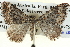  ( - BIOUG04004-F05)  @14 [ ] CreativeCommons - Attribution (2012) CBG Photography Group Centre for Biodiversity Genomics