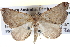  ( - BIOUG04004-G03)  @14 [ ] CreativeCommons - Attribution (2012) CBG Photography Group Centre for Biodiversity Genomics